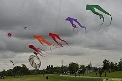 Venice kite festival_0338